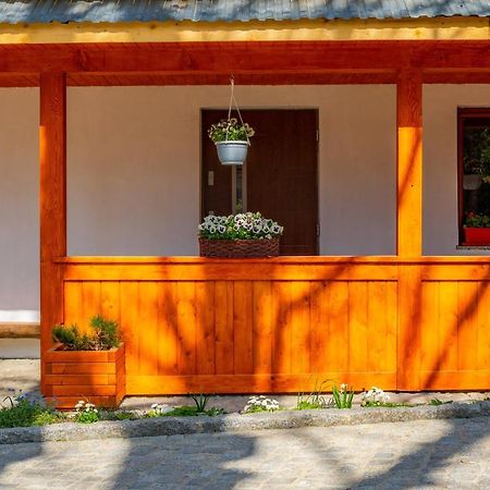 Apartament Lesny Zakopane Extérieur photo