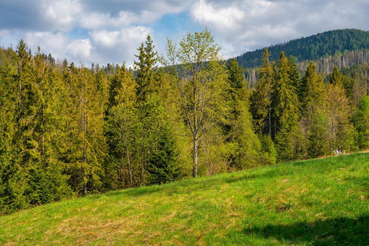 Apartament Lesny Zakopane Extérieur photo