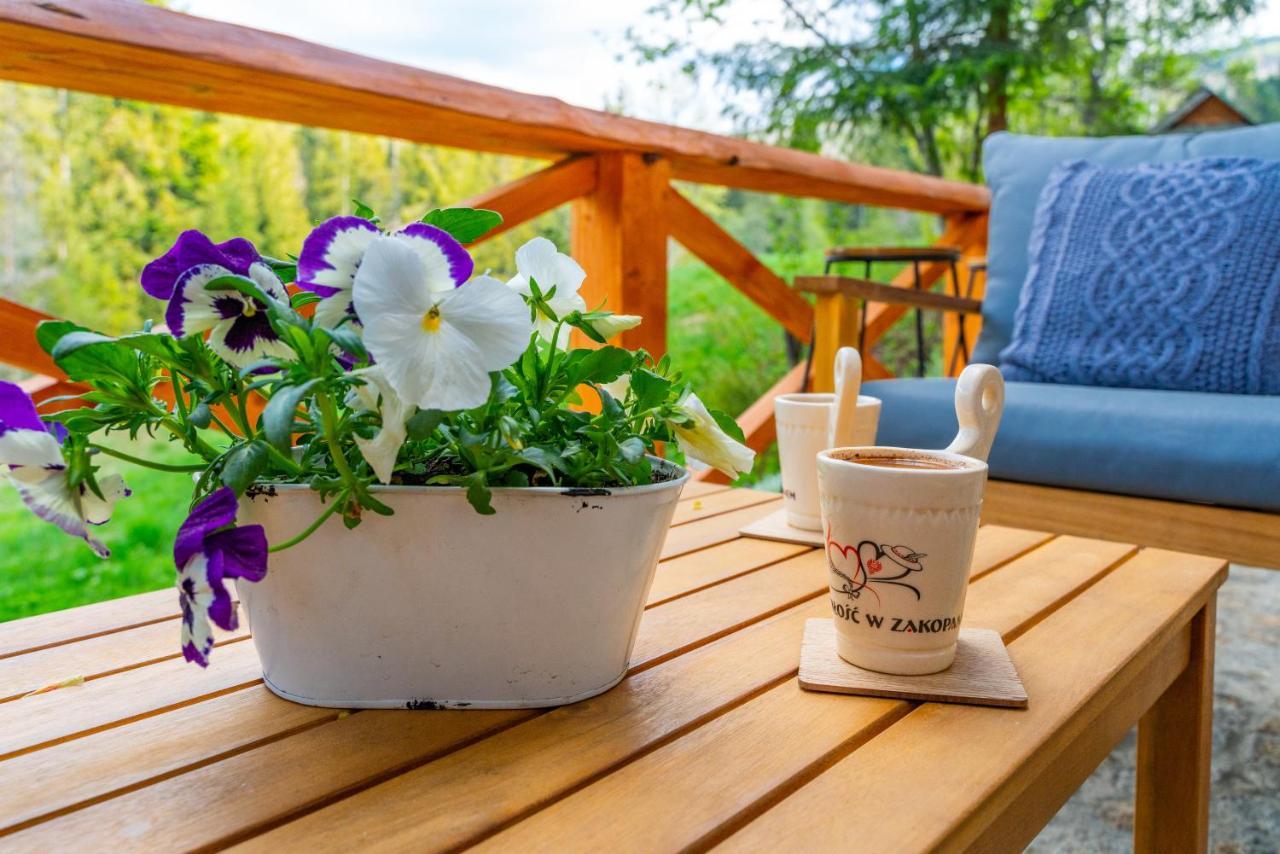 Apartament Lesny Zakopane Extérieur photo