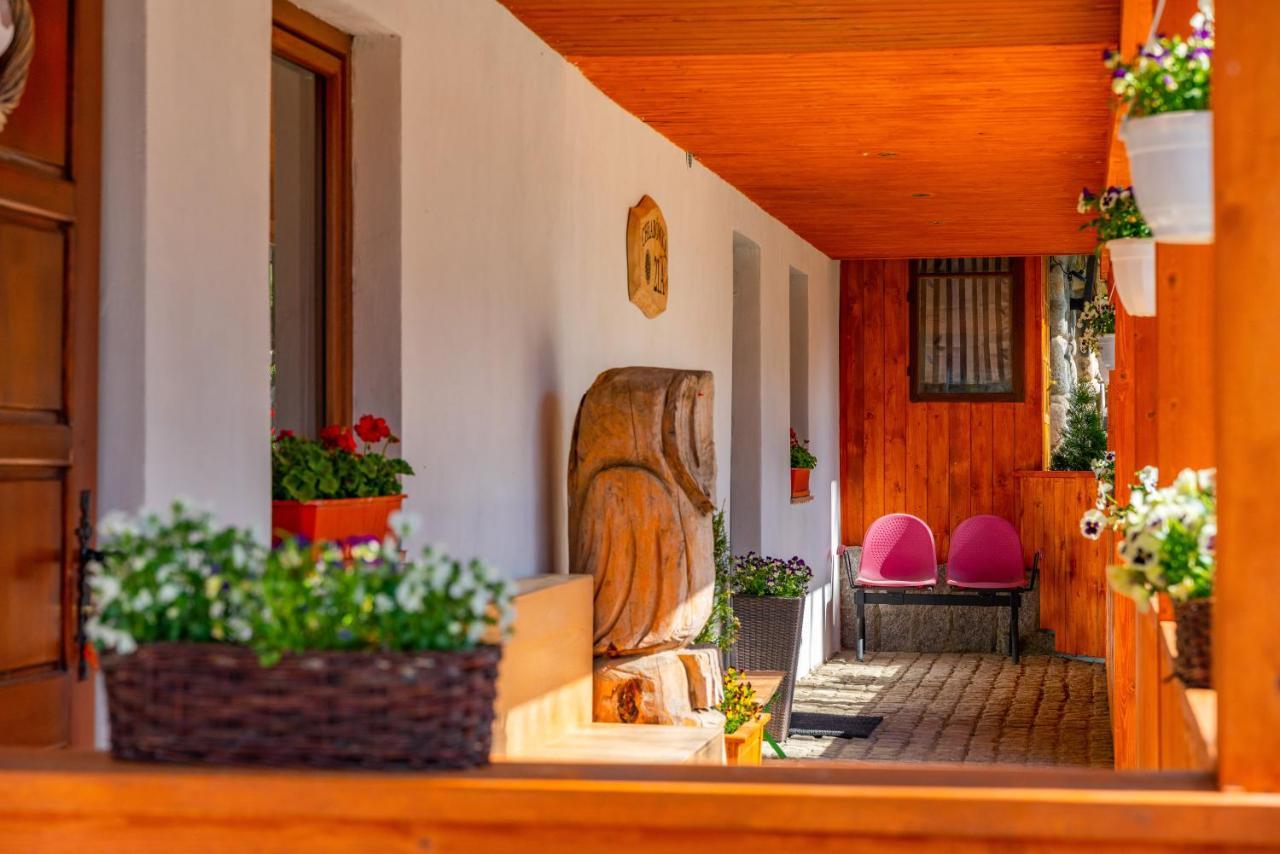 Apartament Lesny Zakopane Extérieur photo
